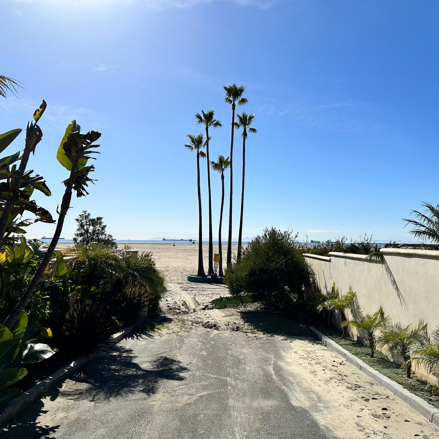 TYTE Replacement Lenses for Costa Del Mar Rafael