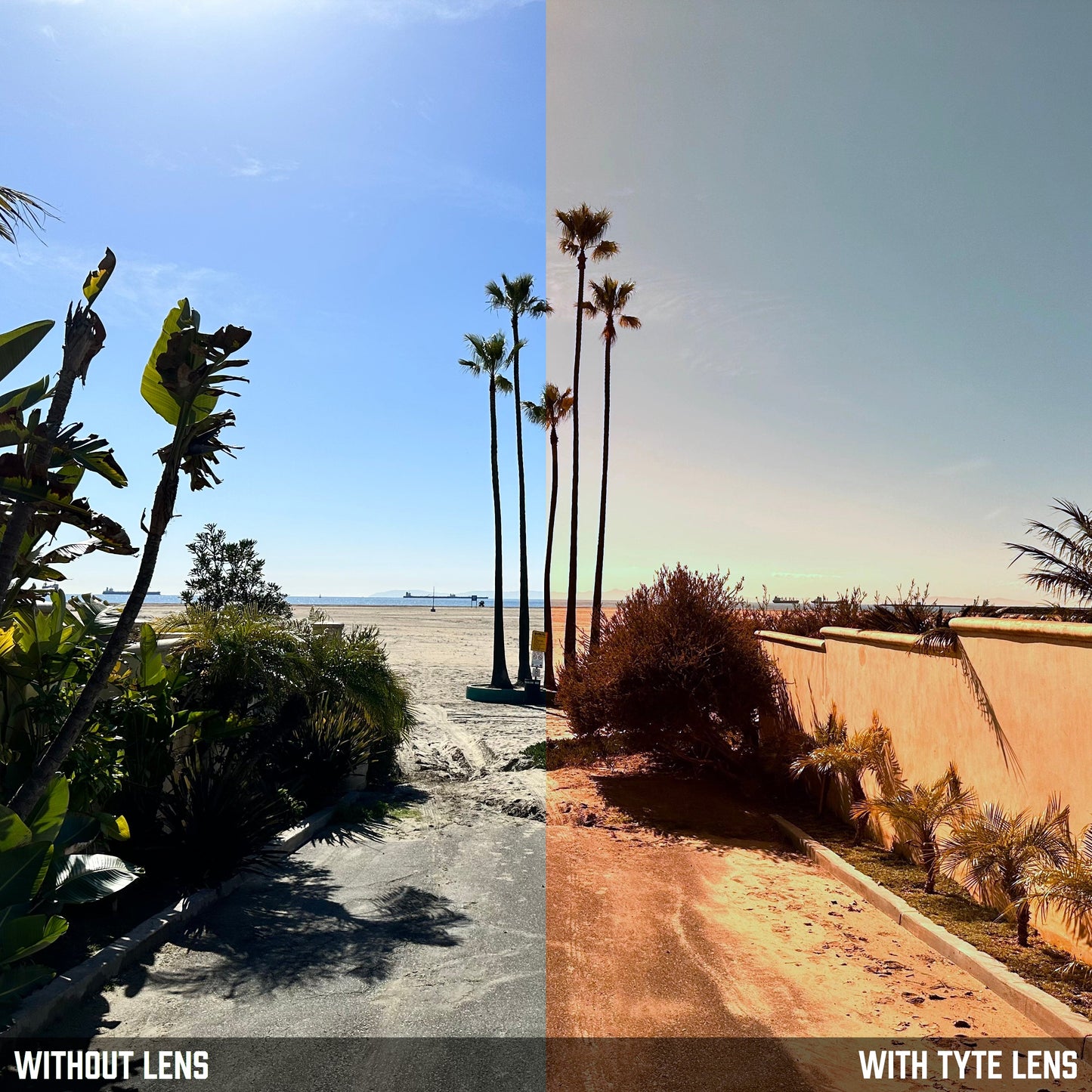 TYTE Replacement Lenses for Coach Darcy