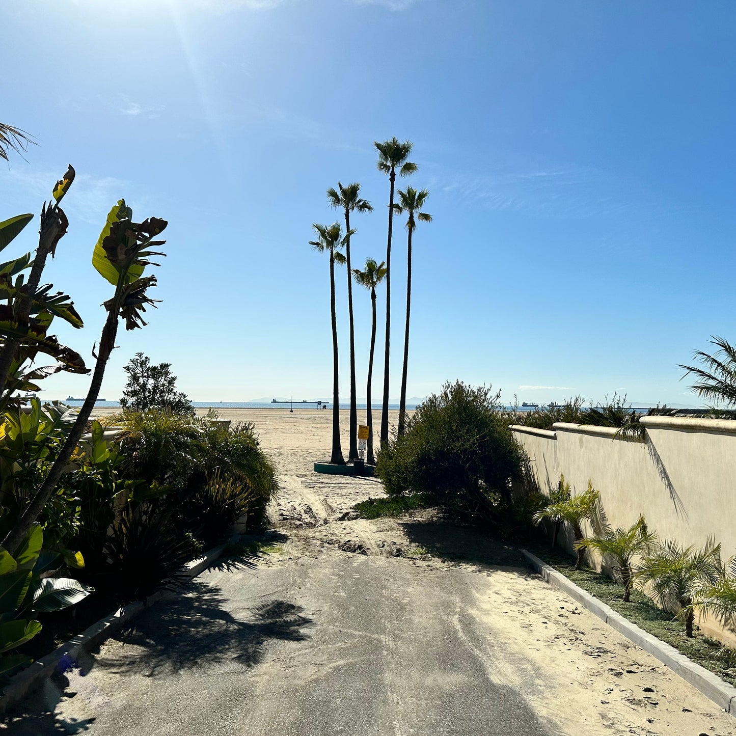 TYTE Replacement Lenses for Costa Del Mar Permit PT 11