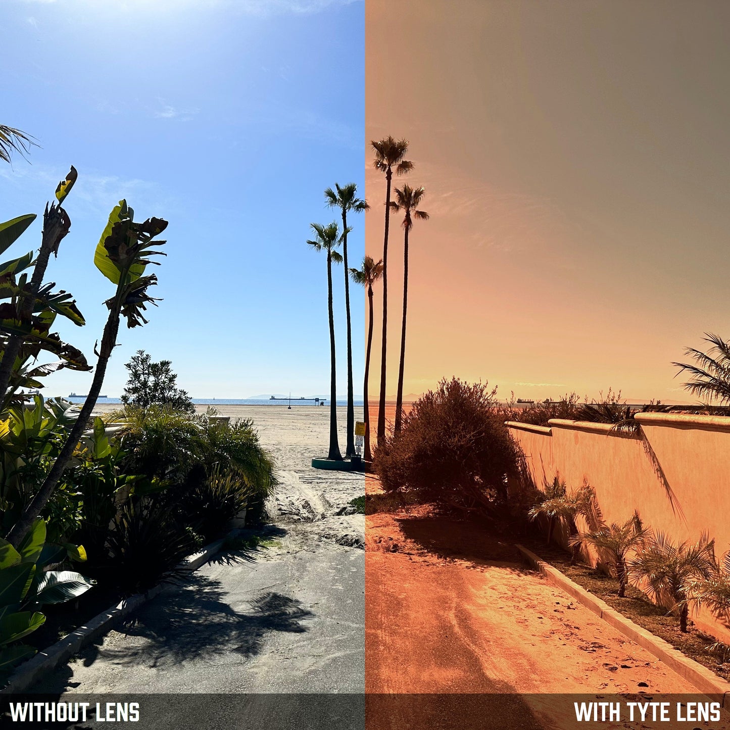 TYTE Replacement Lenses for Ray-Ban RB 8313