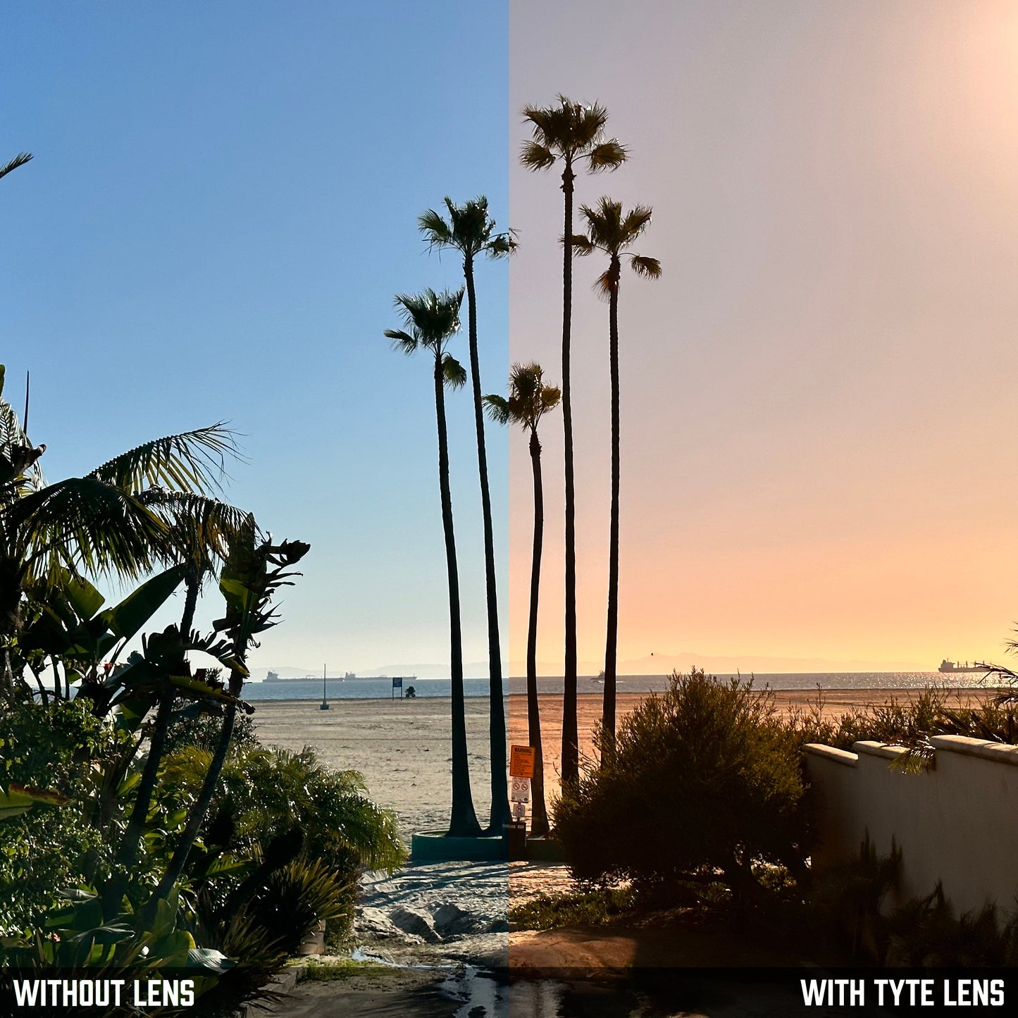 TYTE Replacement Lenses for Oliver Peoples Phoebe