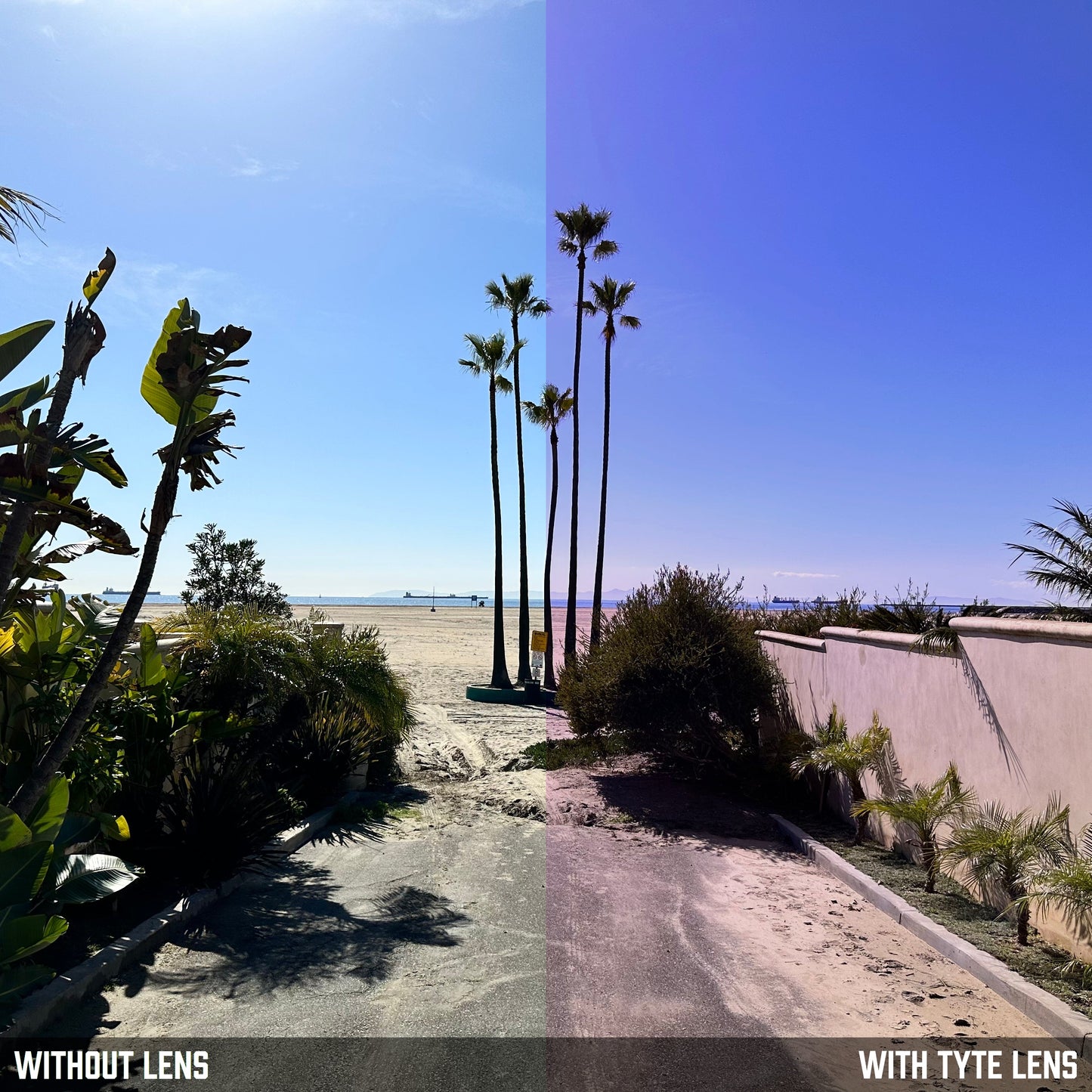 TYTE Replacement Lenses for Nike 4601 44mm